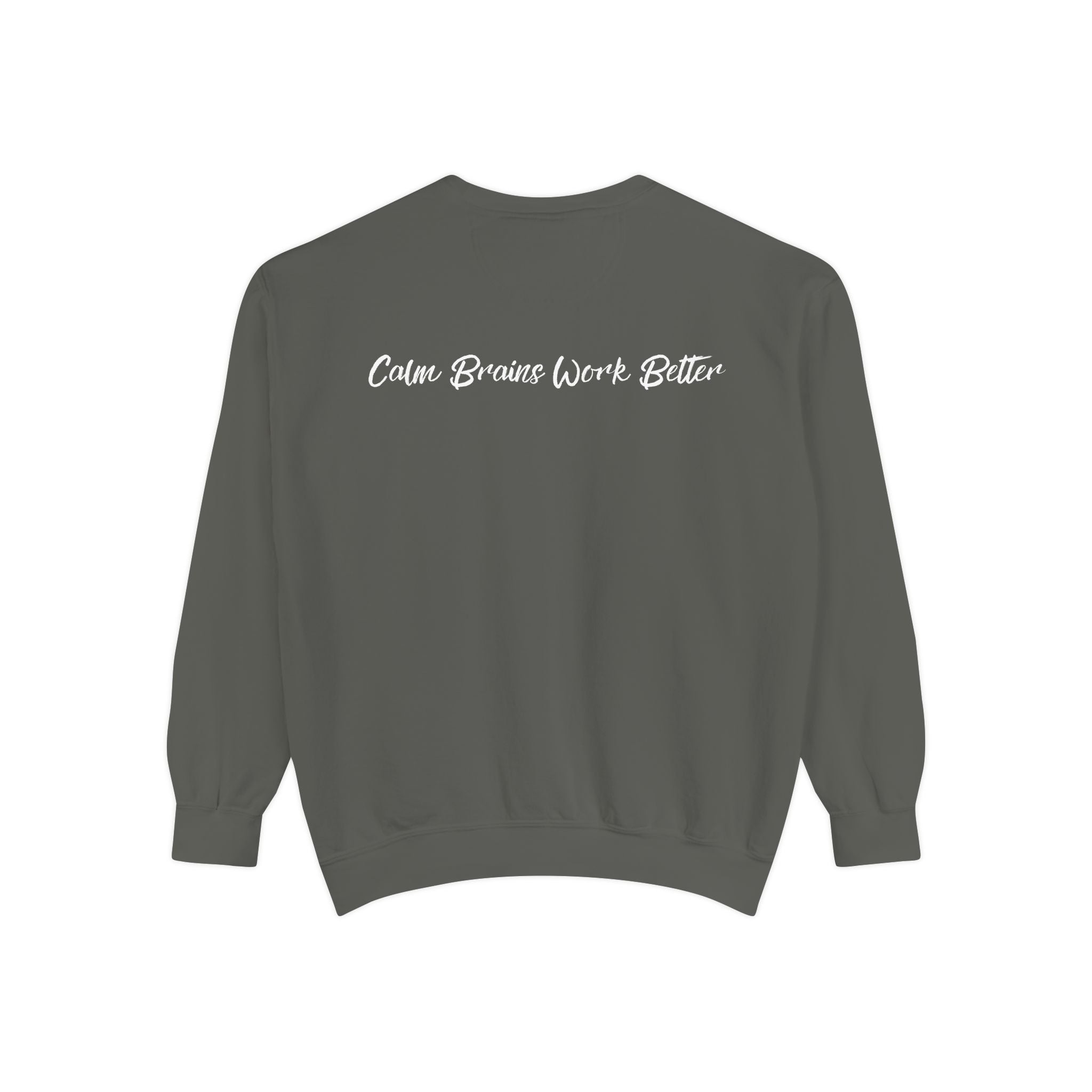 Sweatshirt — "First Co-Regulation Then Expectations" / "Calm Brains Work Better" Inspirational Crewneck