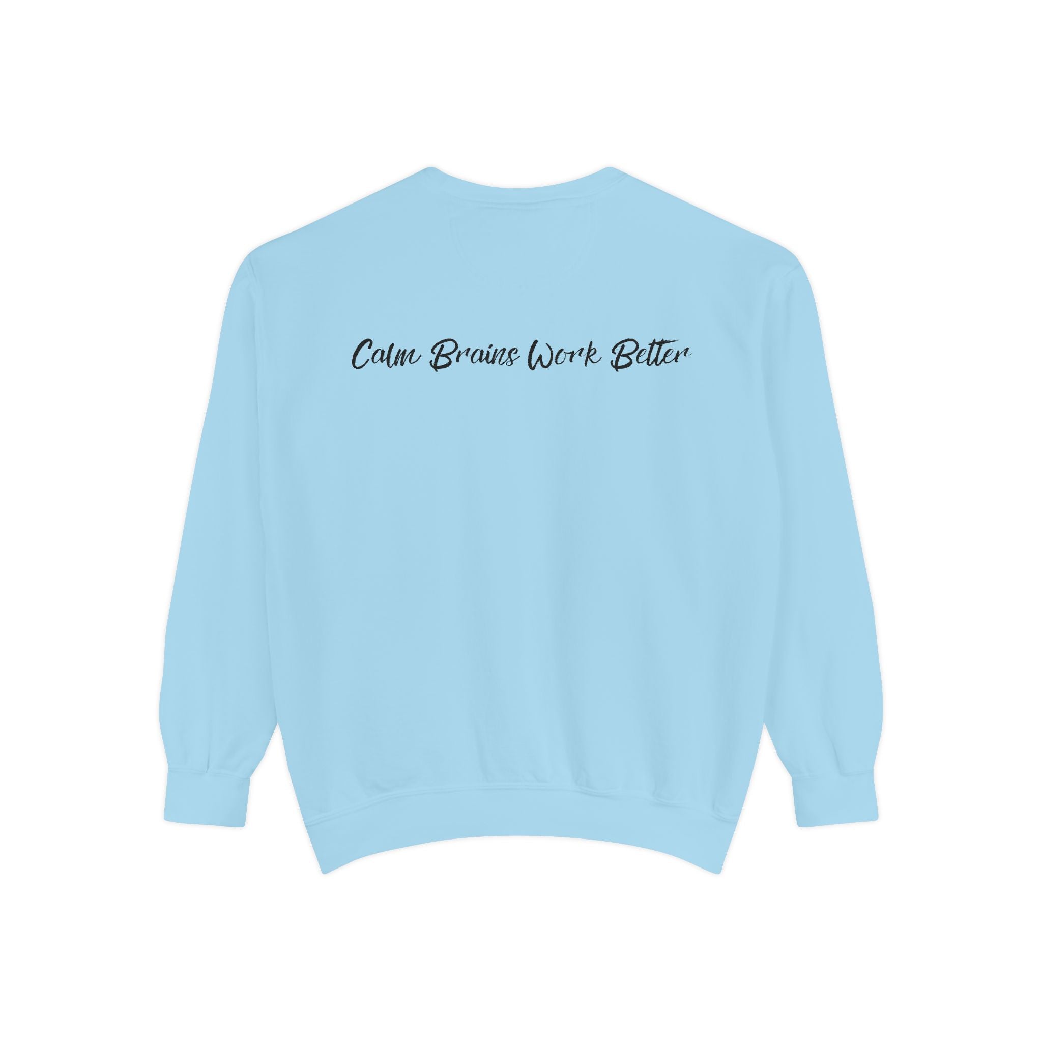 Sweatshirt — "First Co-Regulation Then Expectations" / "Calm Brains Work Better" Inspirational Crewneck