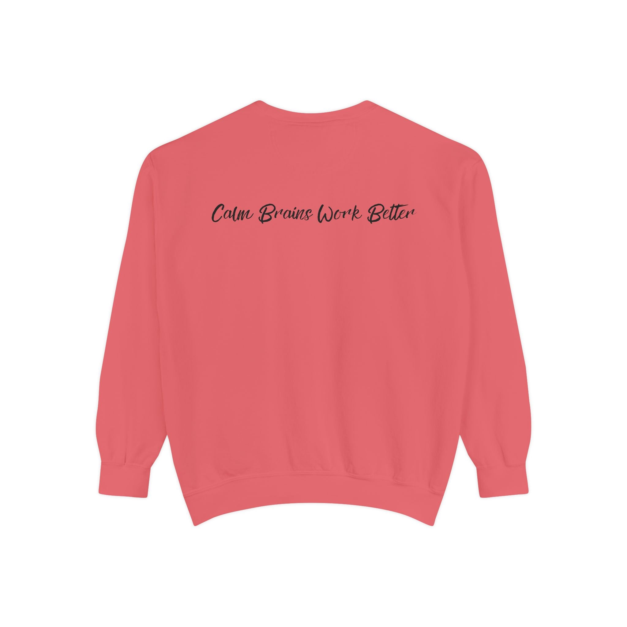 Sweatshirt — "First Co-Regulation Then Expectations" / "Calm Brains Work Better" Inspirational Crewneck