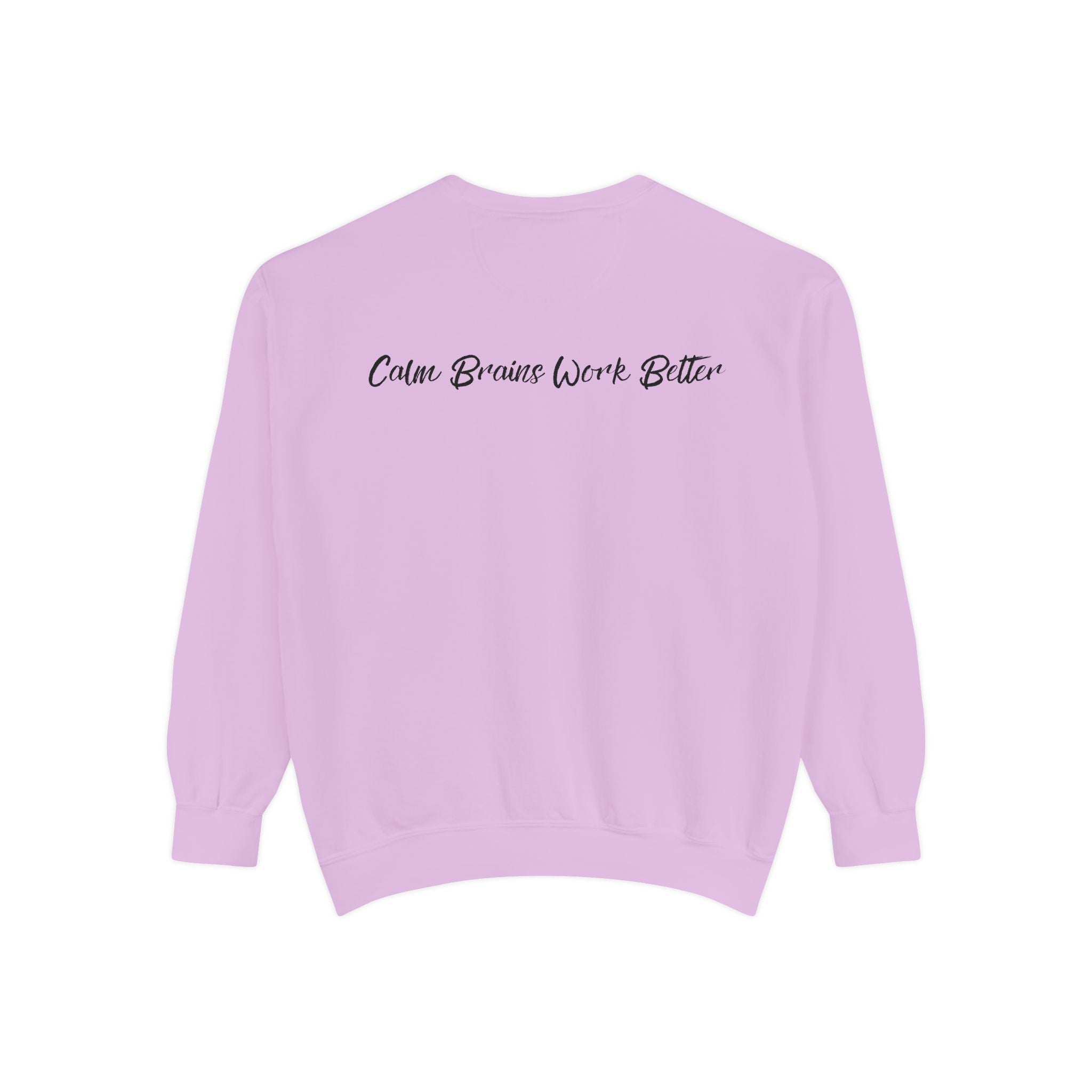 Sweatshirt — "First Co-Regulation Then Expectations" / "Calm Brains Work Better" Inspirational Crewneck