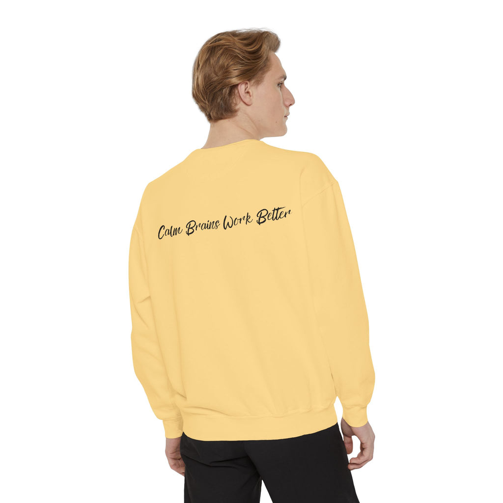 Sweatshirt — "First Co-Regulation Then Expectations" / "Calm Brains Work Better" Inspirational Crewneck