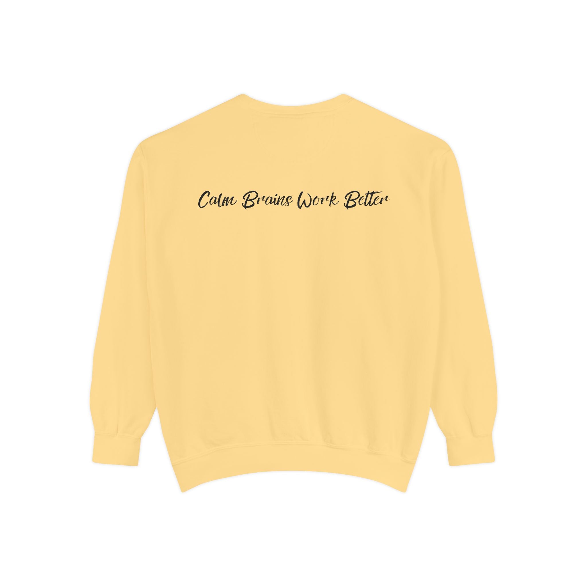 Sweatshirt — "First Co-Regulation Then Expectations" / "Calm Brains Work Better" Inspirational Crewneck