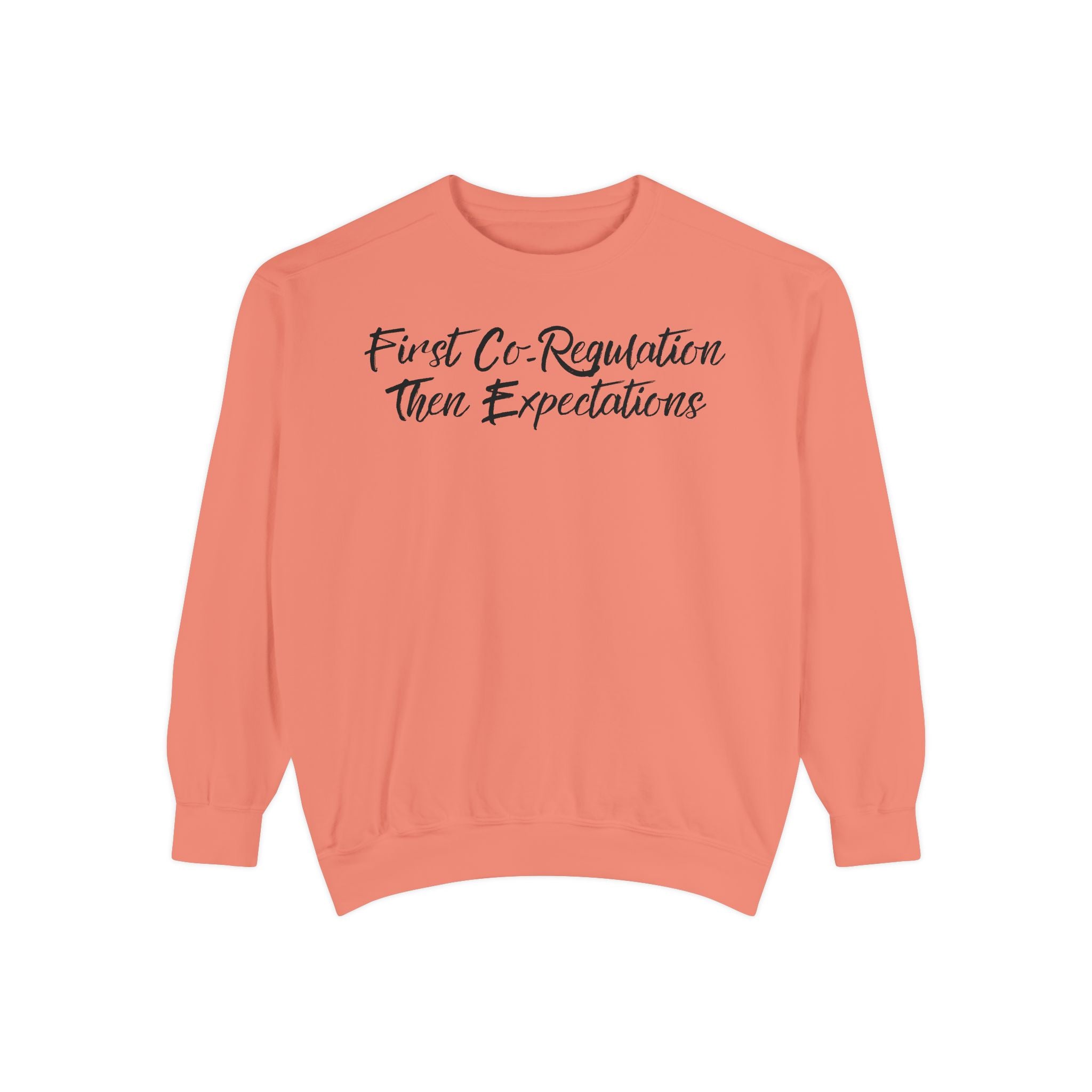 Sweatshirt — "First Co-Regulation Then Expectations" / "Calm Brains Work Better" Inspirational Crewneck