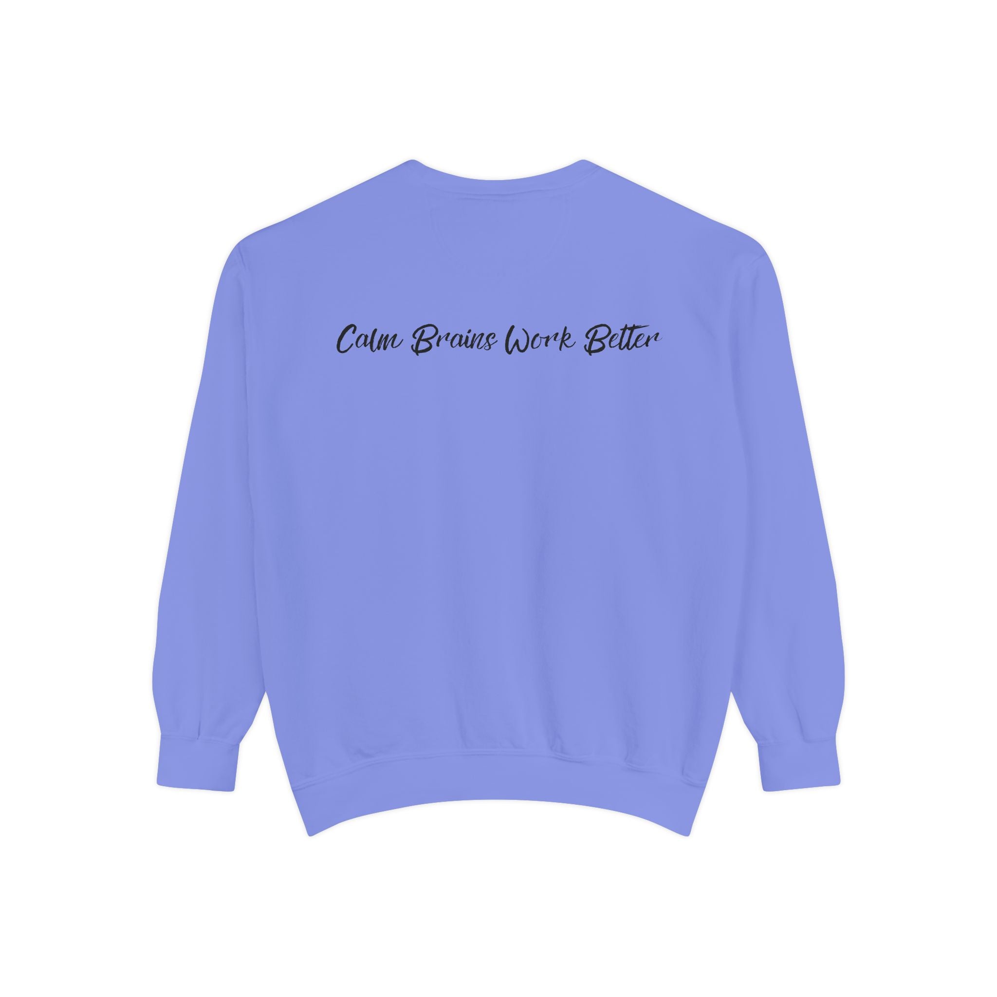 Sweatshirt — "First Co-Regulation Then Expectations" / "Calm Brains Work Better" Inspirational Crewneck