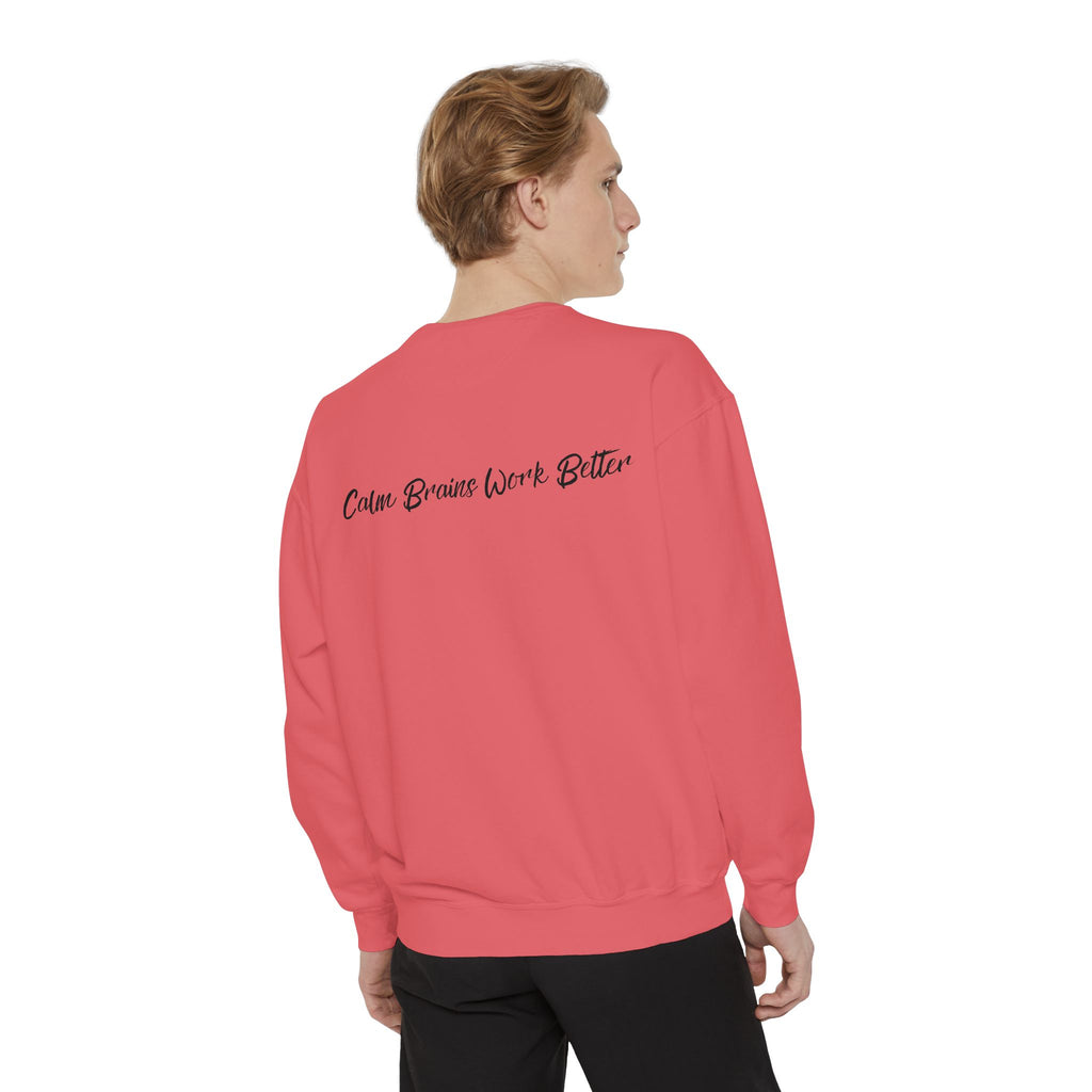 Sweatshirt — "First Co-Regulation Then Expectations" / "Calm Brains Work Better" Inspirational Crewneck